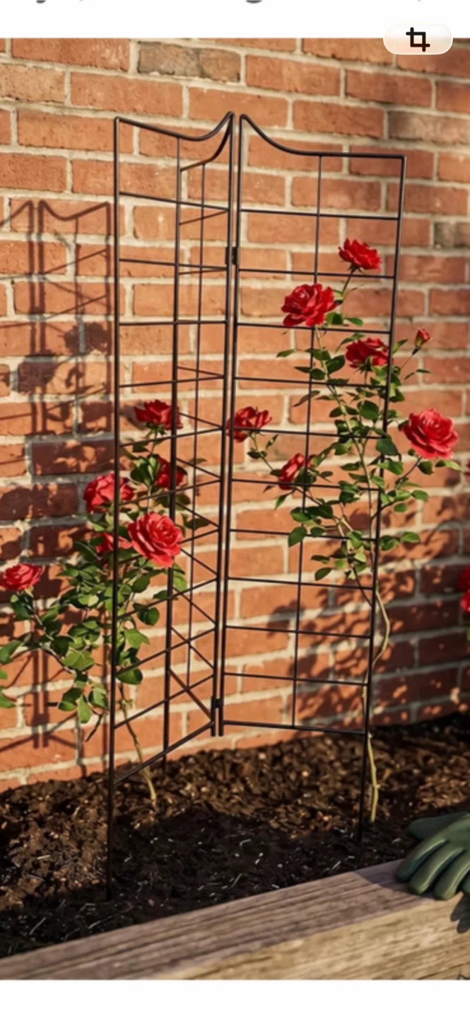 Garden Trellis - photo 4