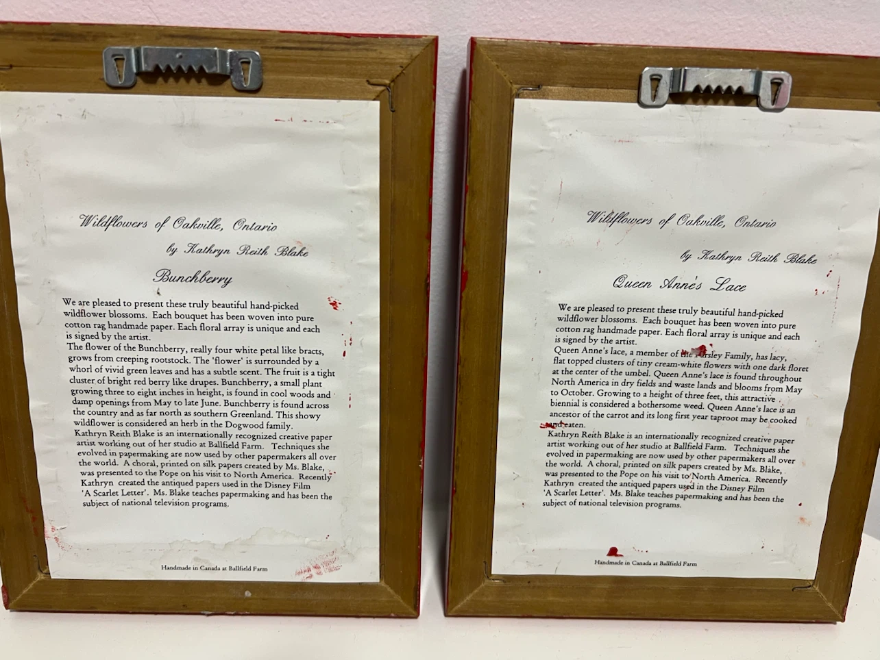 Real pressed and framed wildflowers - photo 4