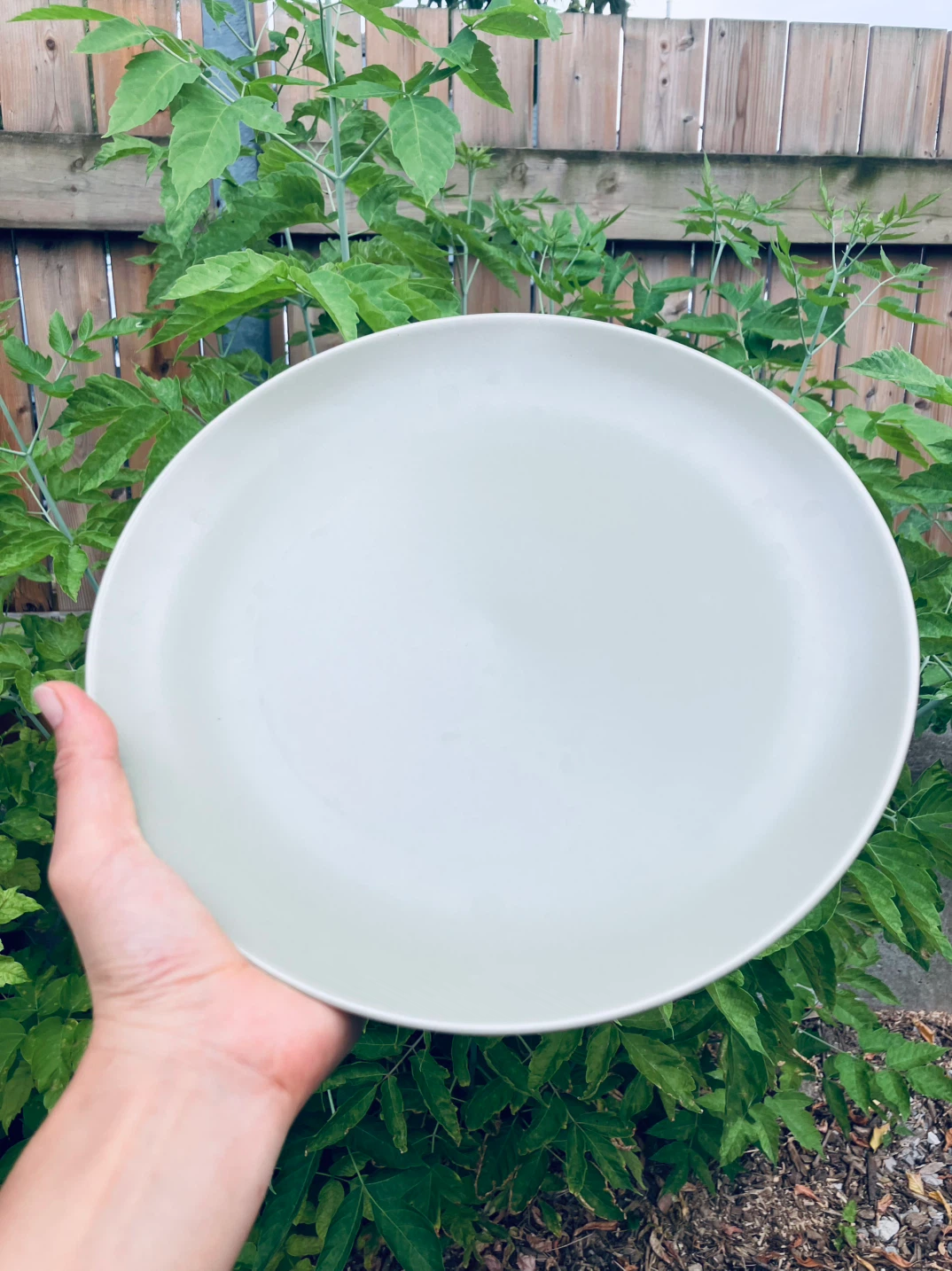 IKEA Matte Green Dinner Plates x6