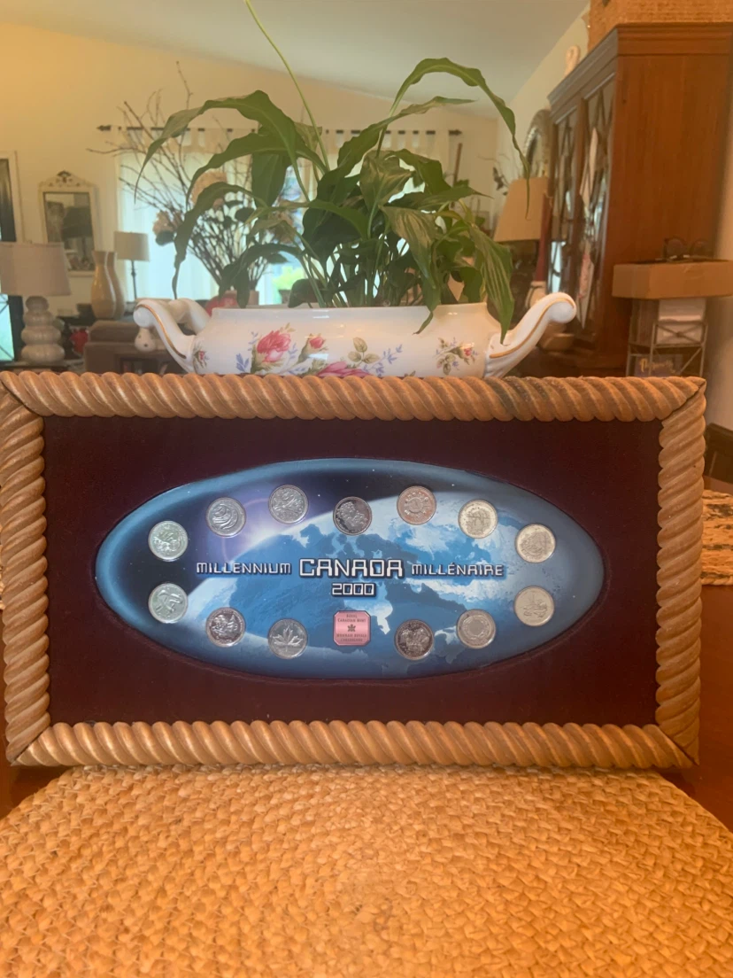 Canada Millennium 2000 Coin Collection Display - photo 5