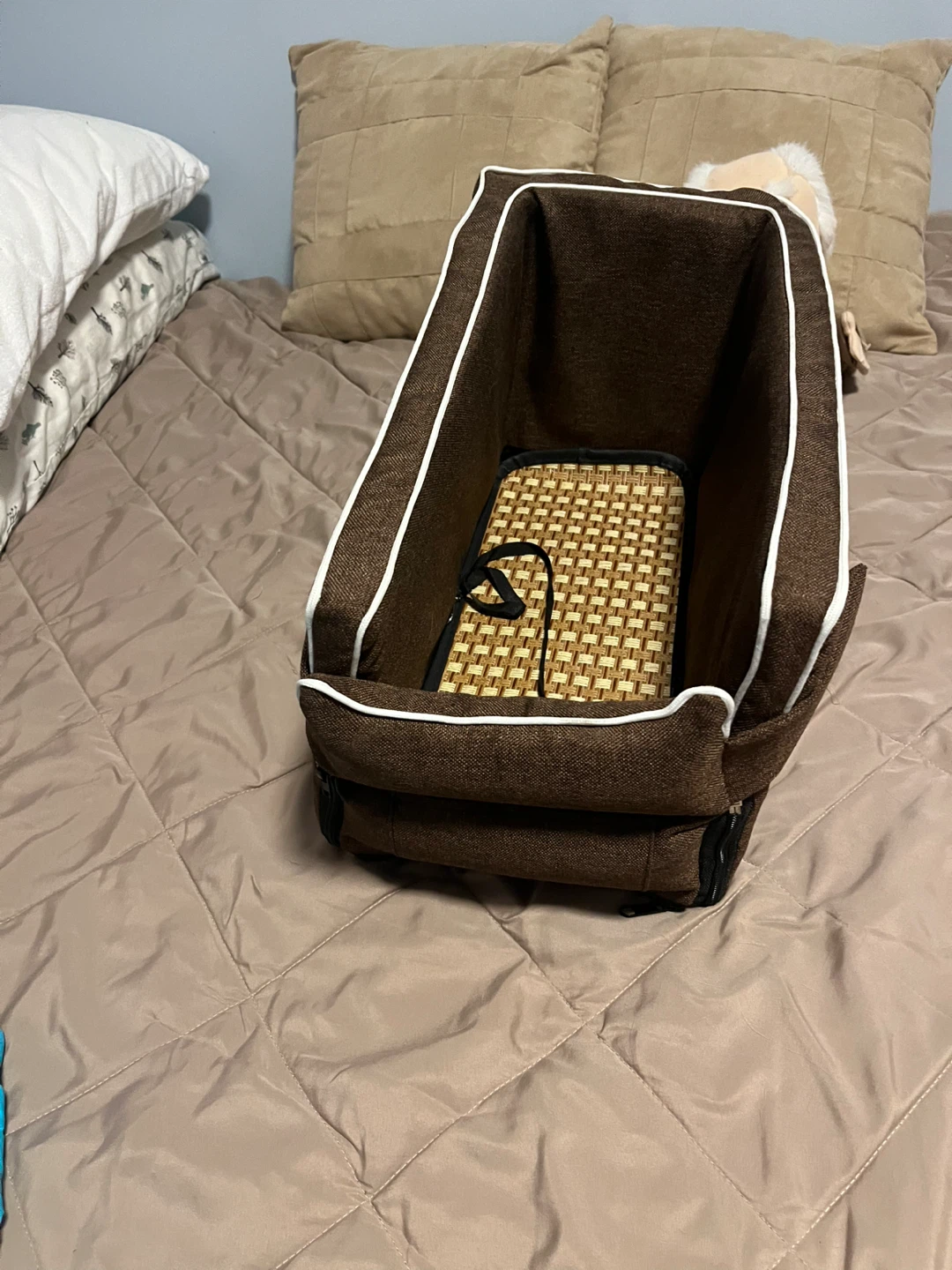 Chihuahua car seat!
