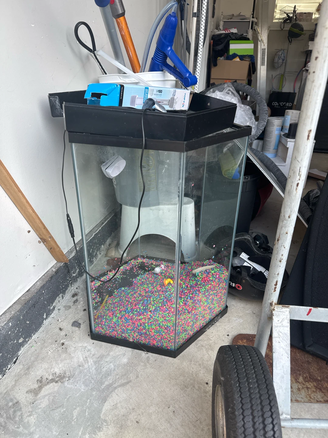 Aquarium Tank with Accessories
