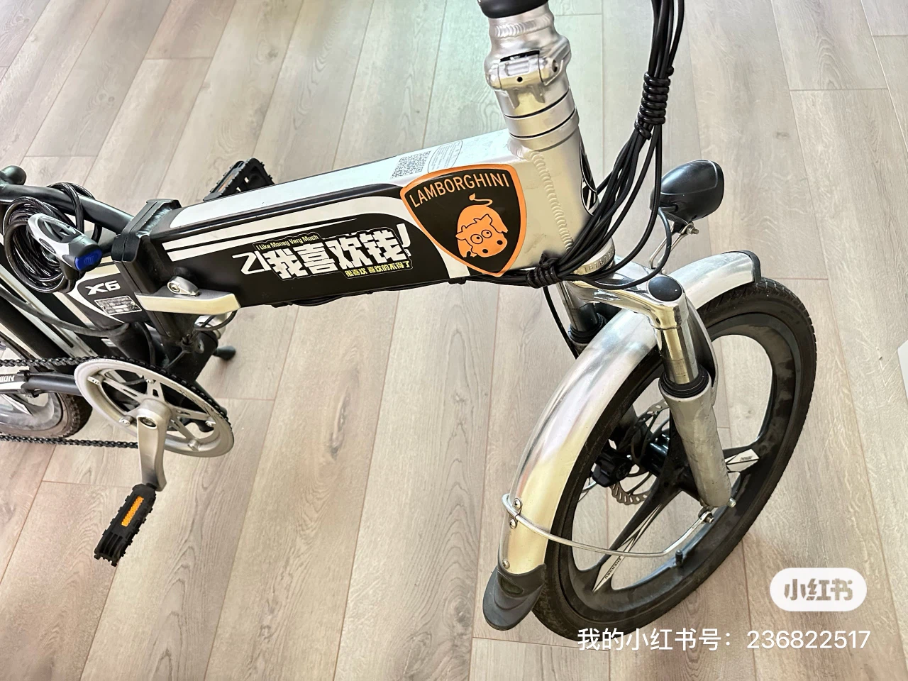 Foldable Electric Bike