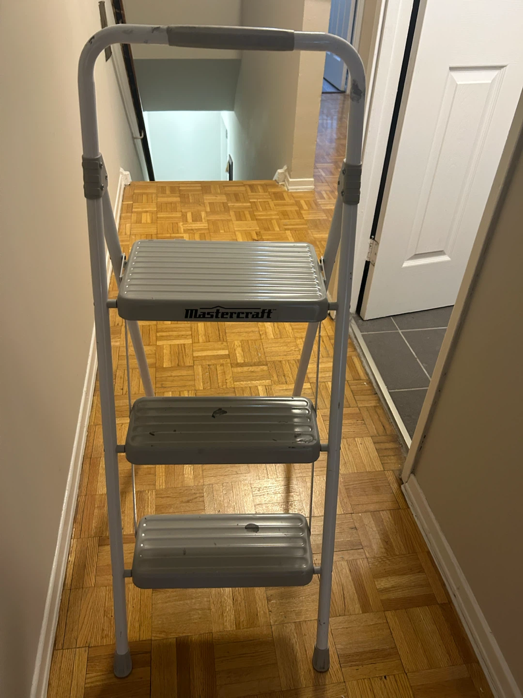 MasterCraft metal ladder