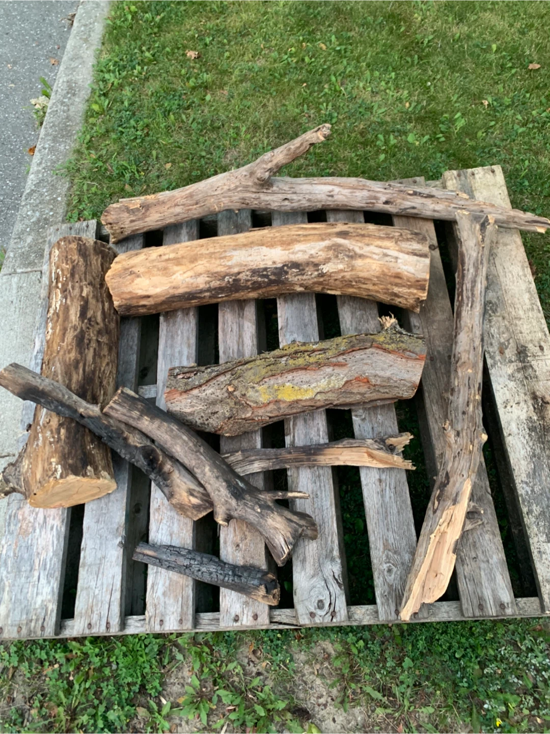 FREE -  Firewood Logs + Wood Pallet