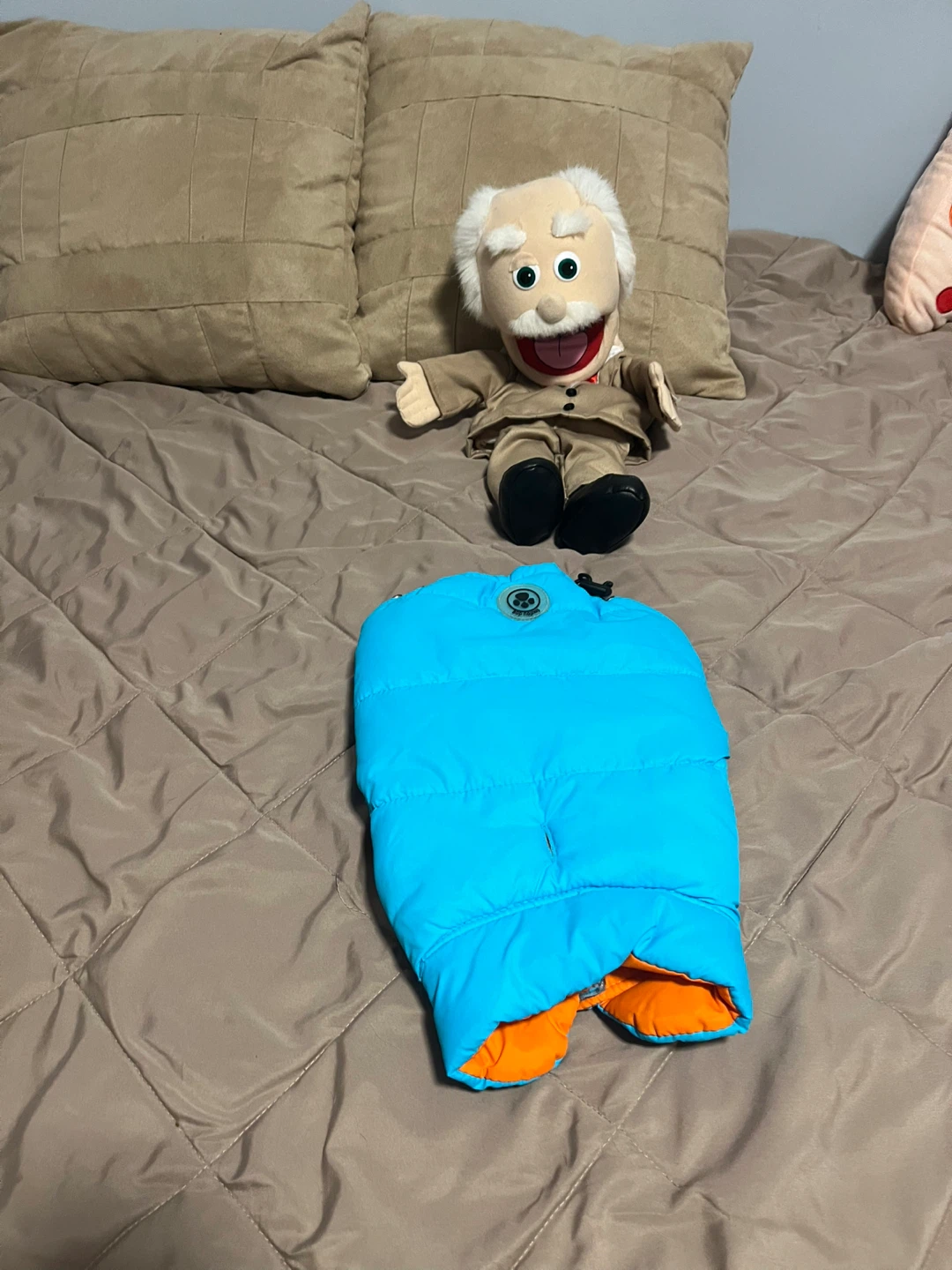 A puff jacket for a Chihuahua