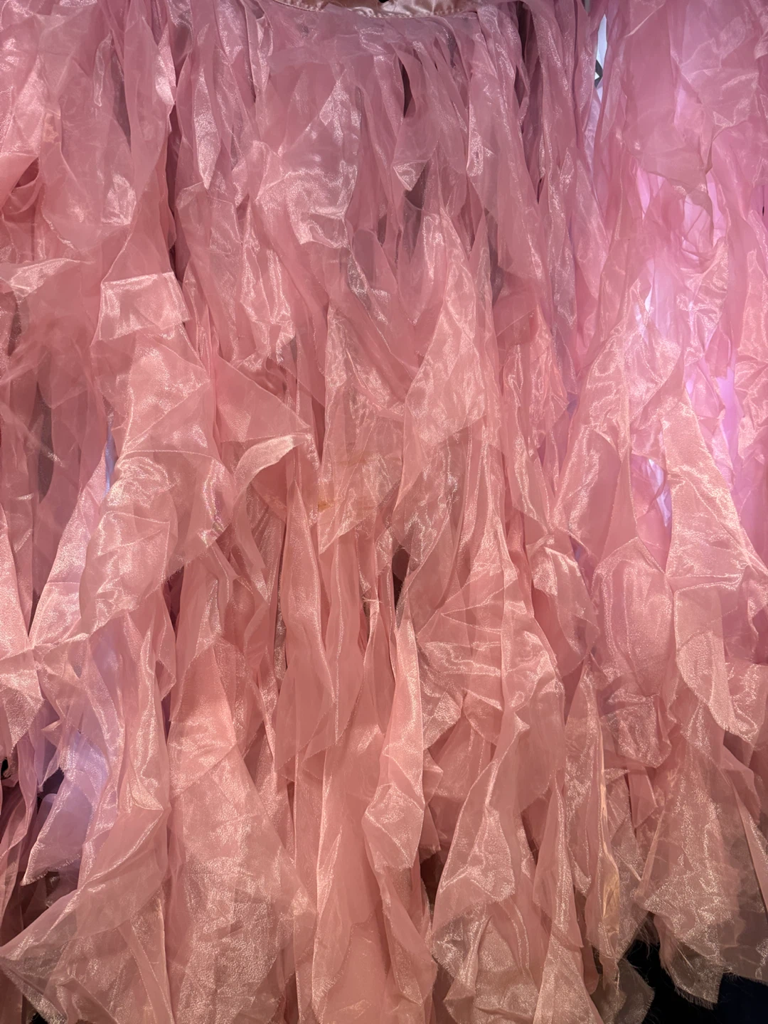 Pink Ruffled Organza decoration Skirt - photo 2