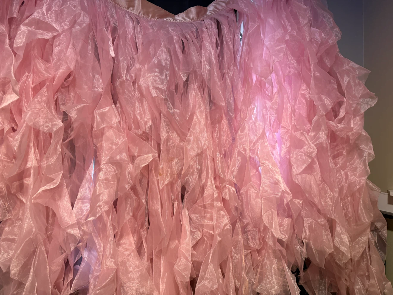 Pink Ruffled Organza decoration Skirt - photo 3