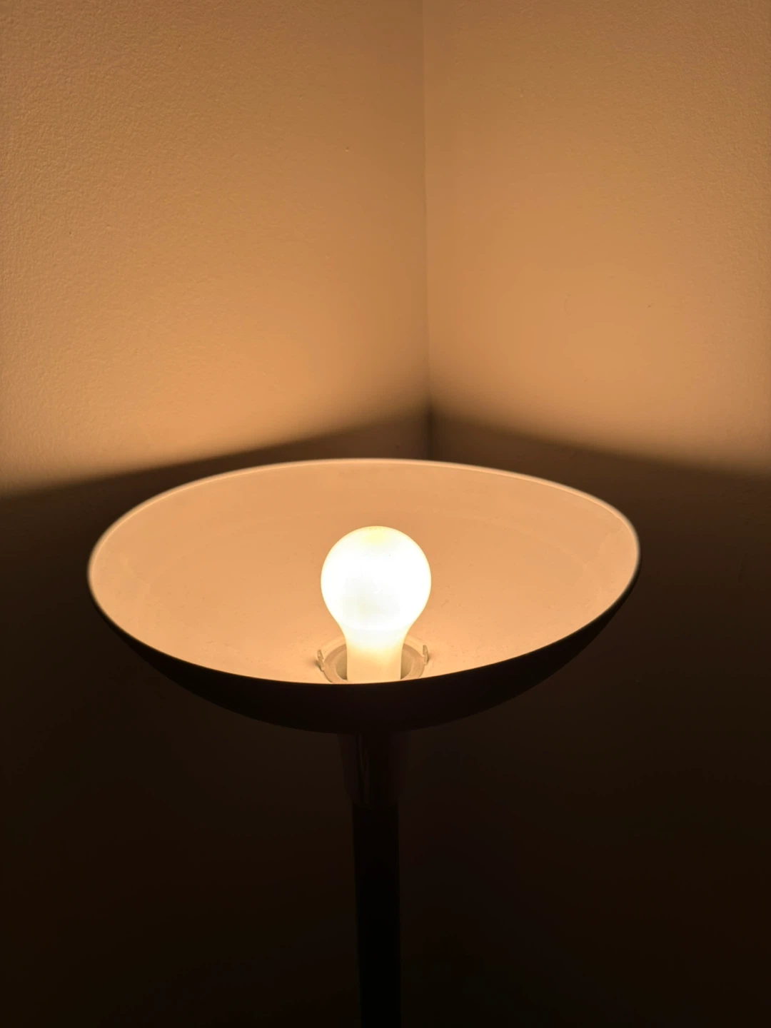 Black Floor Lamp with Dome Shade - photo 3