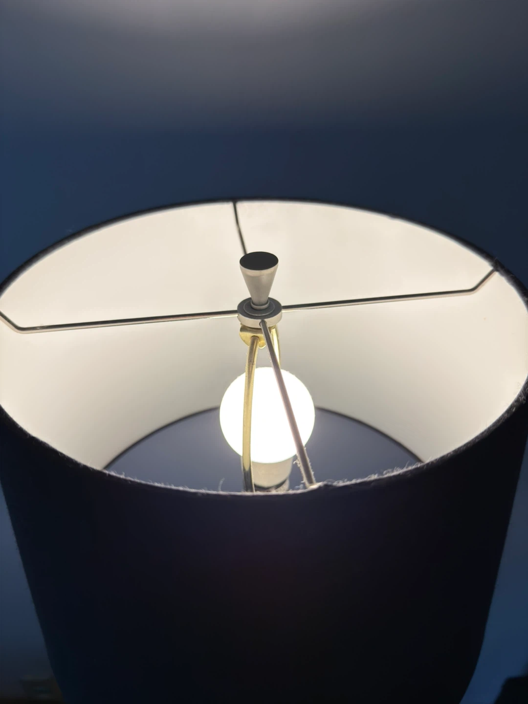 Black Floor Lamp - photo 4