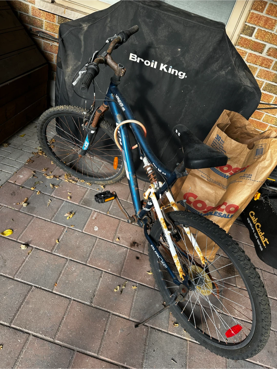Blue Dual-X Mountain Bike