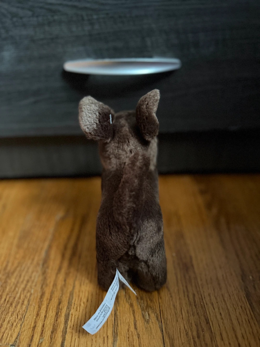 American girl dog - photo 2