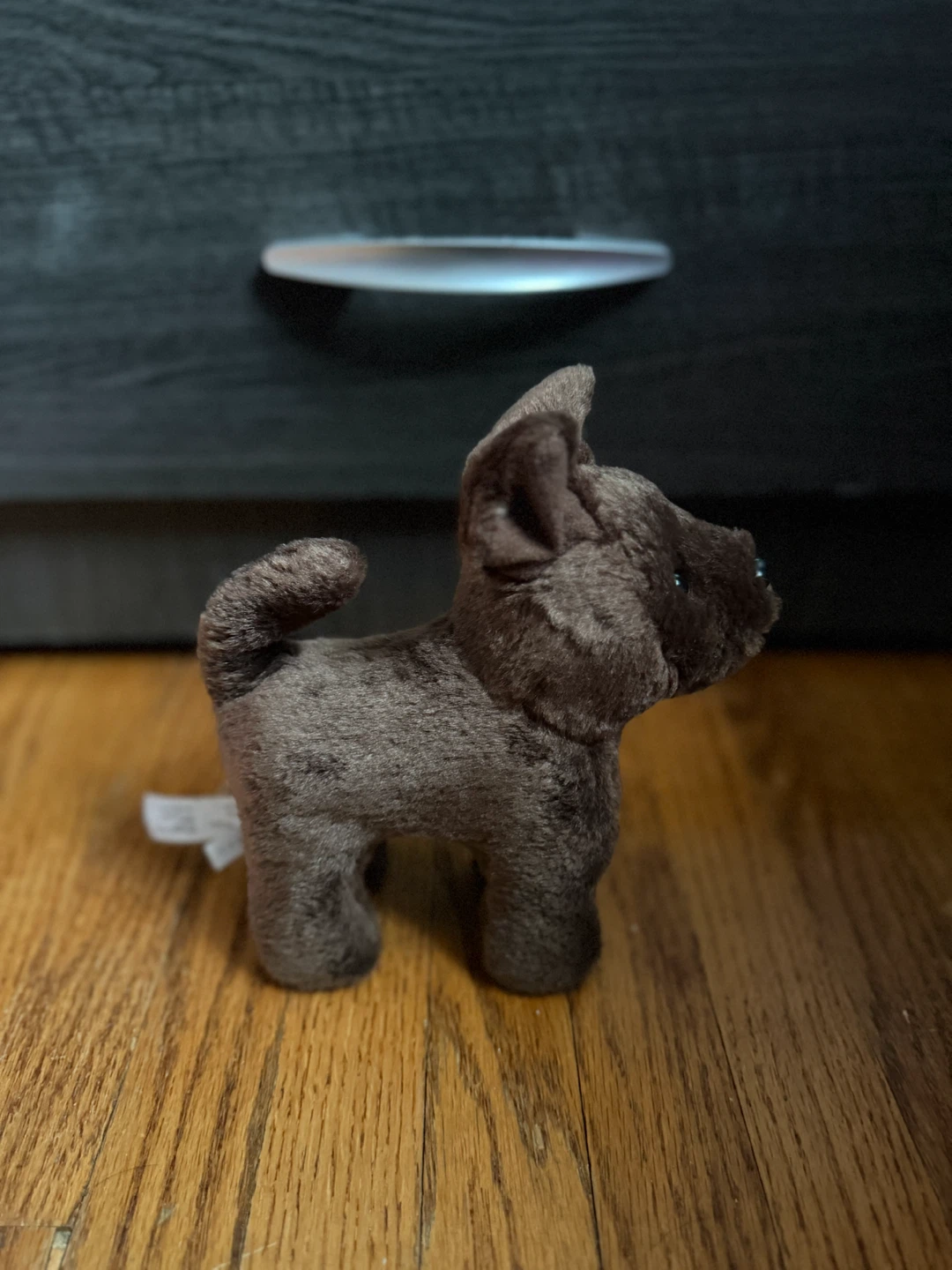American girl dog - photo 3