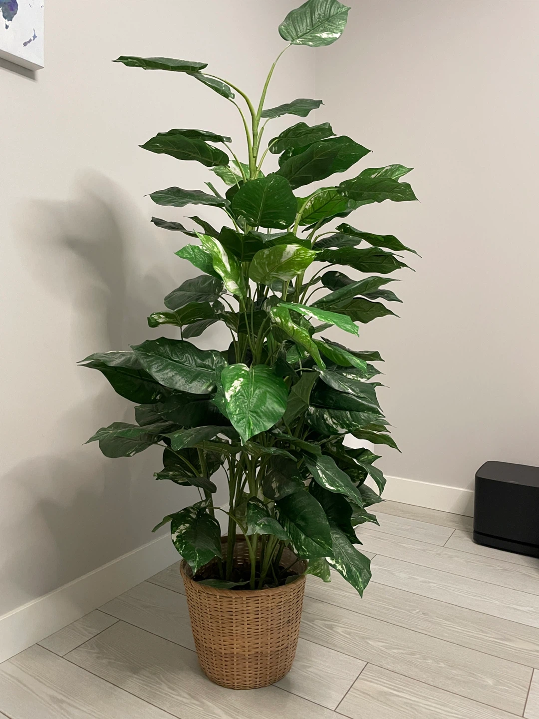 Large Faux Pothos Plant in Wicker Basket