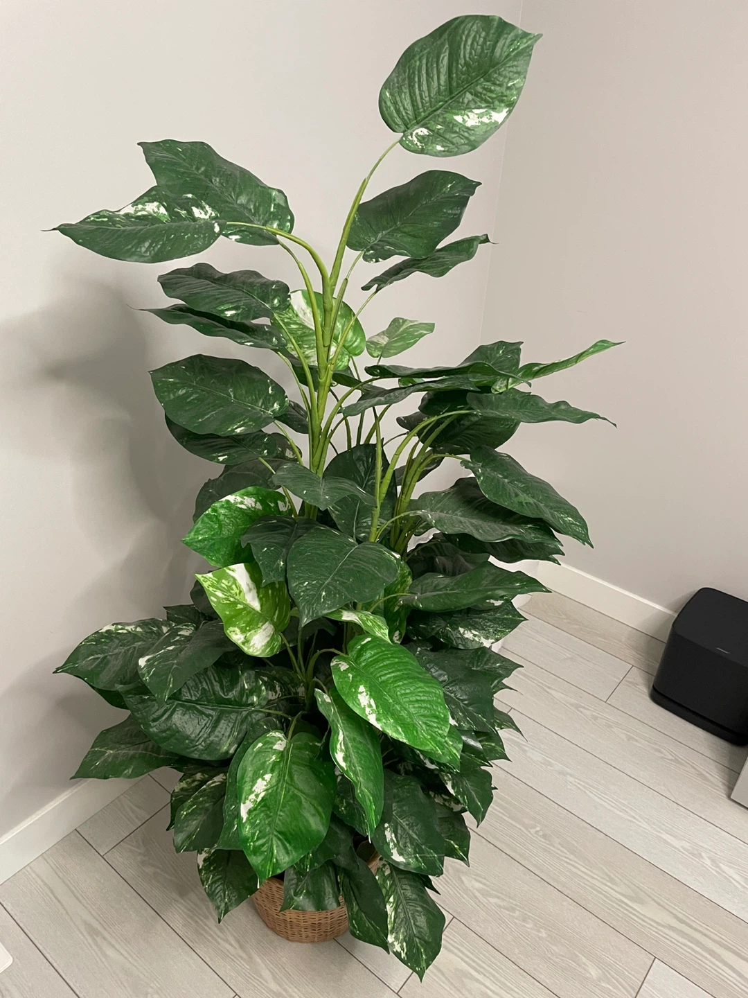 Large Faux Pothos Plant in Wicker Basket - photo 2