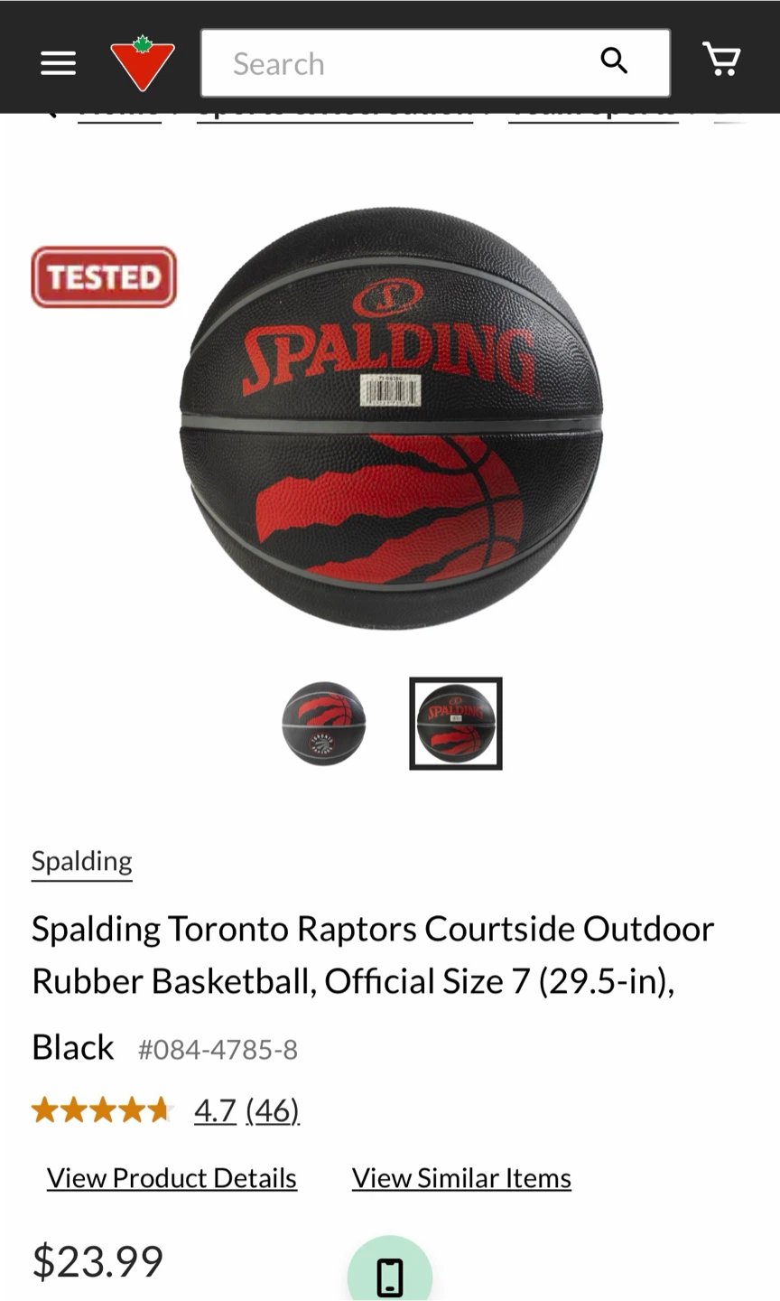 Spalding Toronto Raptors Courtside Outdoor Basketball Size 7 - photo 3