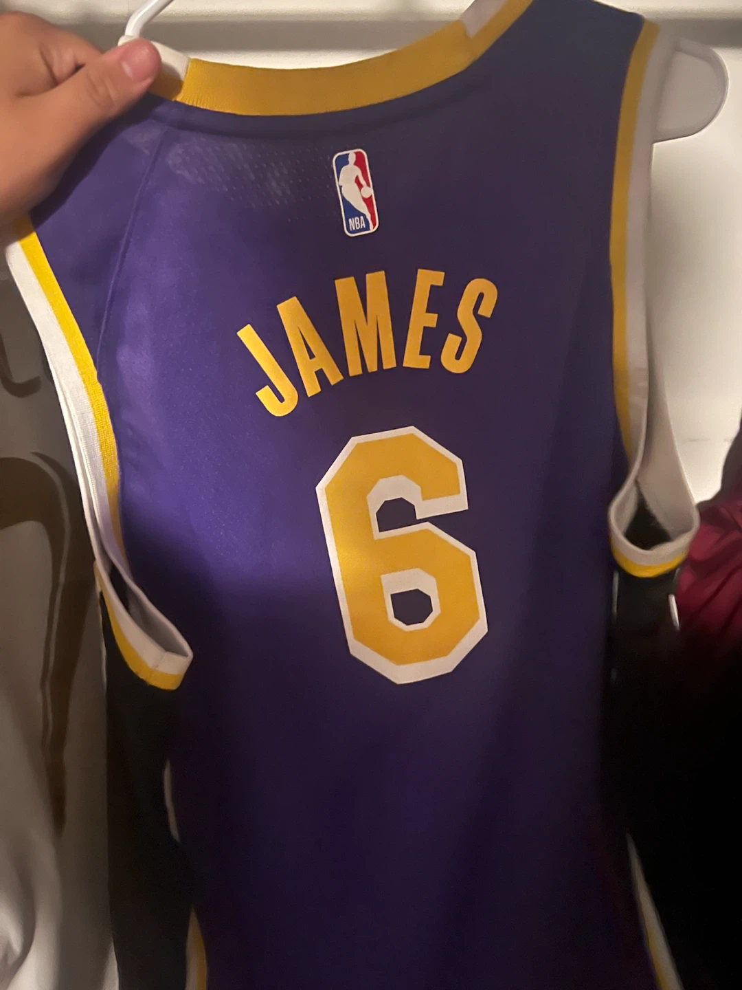 Nike Los Angeles Lakers LeBron James #6 Jersey