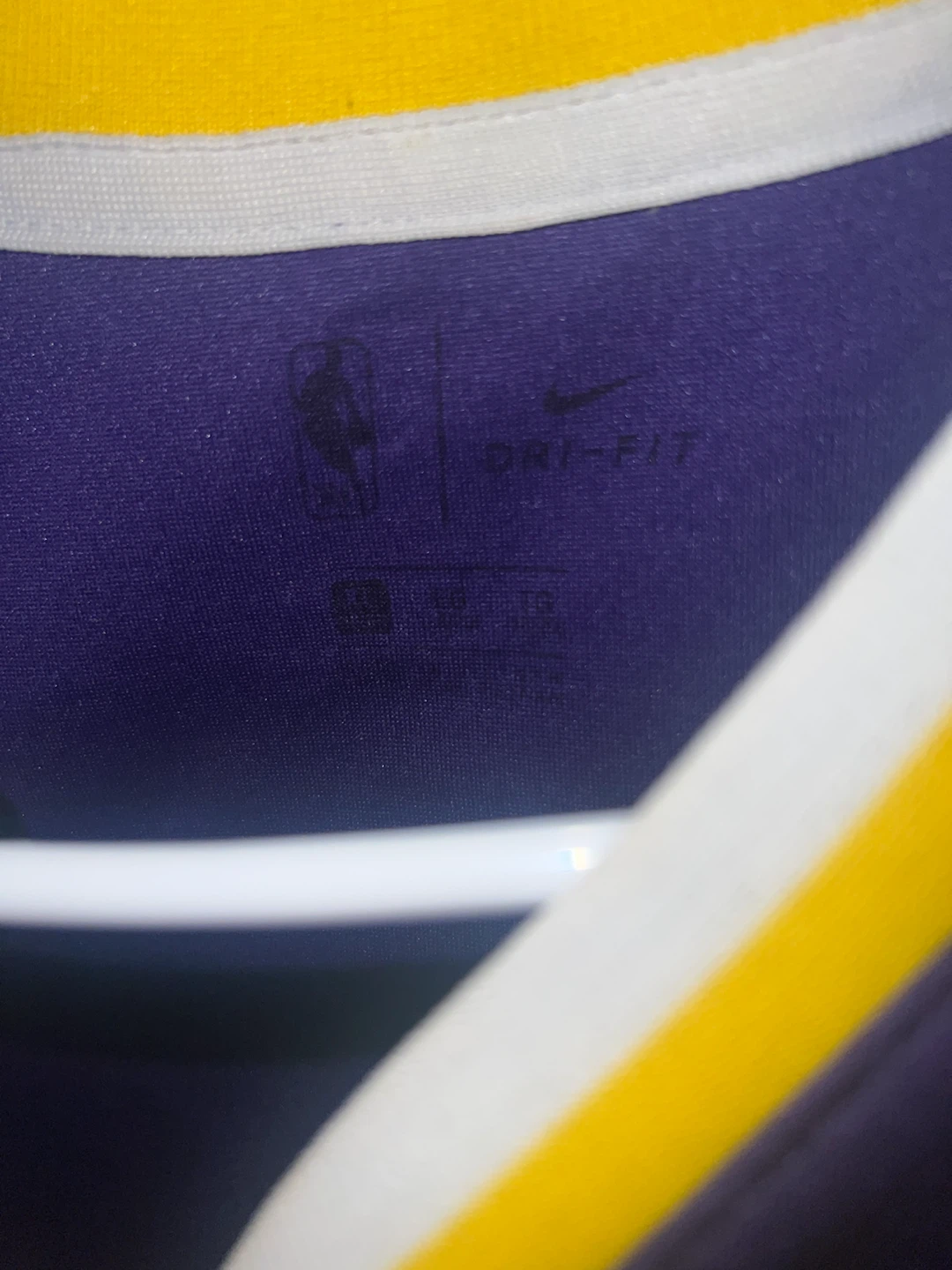 Nike Los Angeles Lakers LeBron James #6 Jersey - photo 2