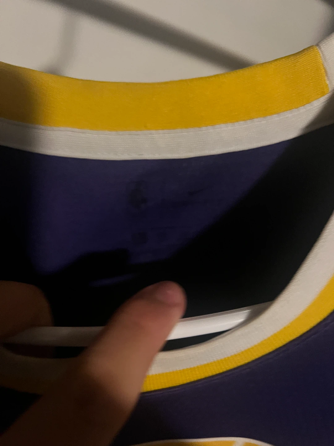 Nike Los Angeles Lakers LeBron James #6 Jersey - photo 4
