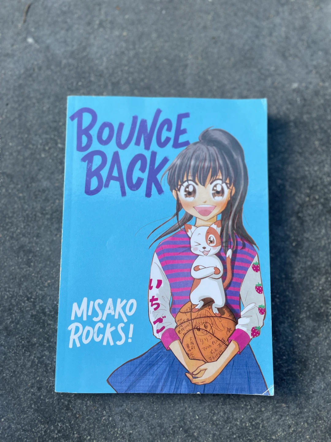 Bounce Back Graphic Novel
