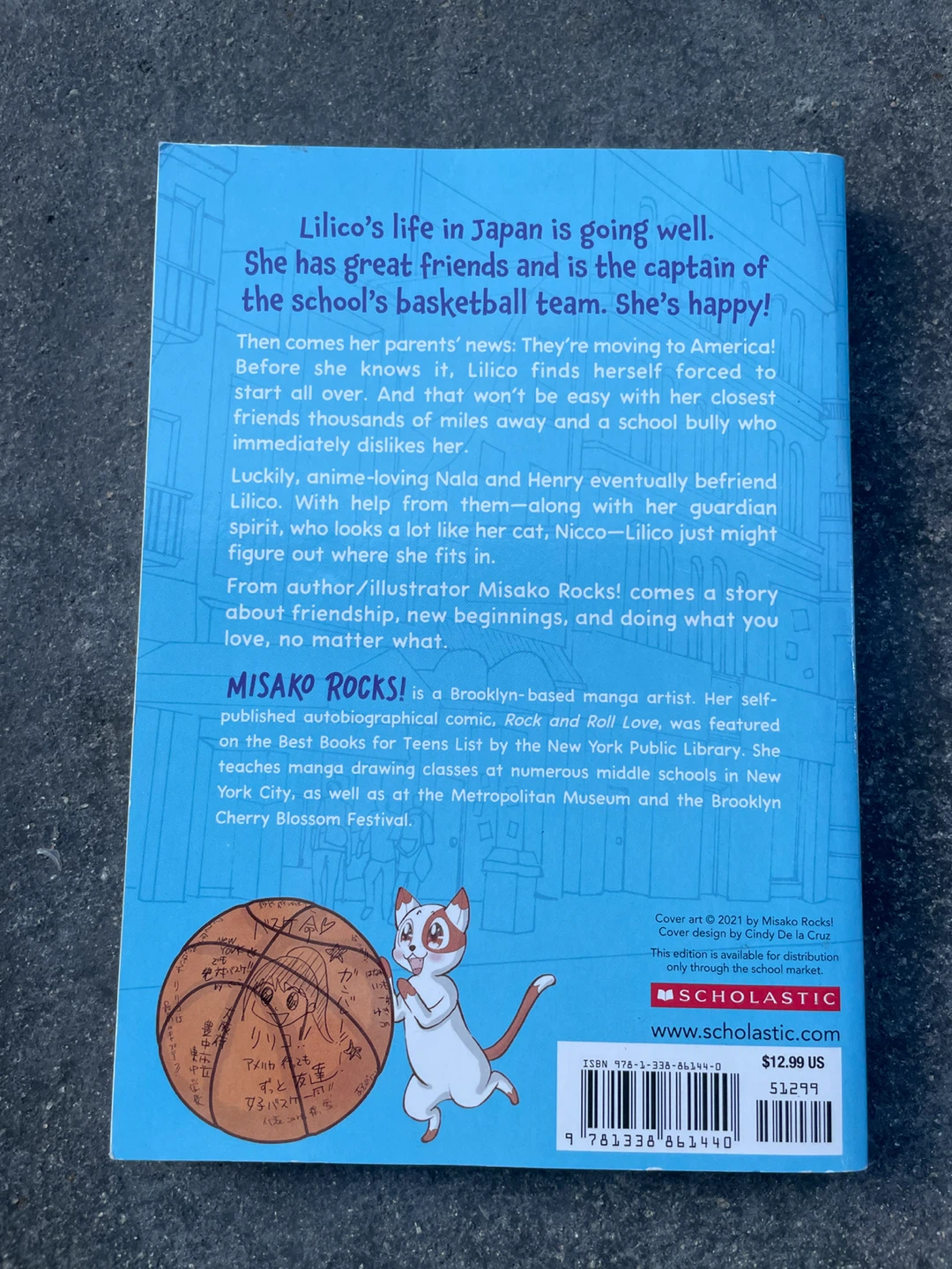 Bounce Back Graphic Novel - photo 2