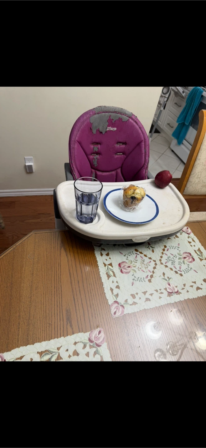 Foldable Feed/Eat Highchair - photo 4