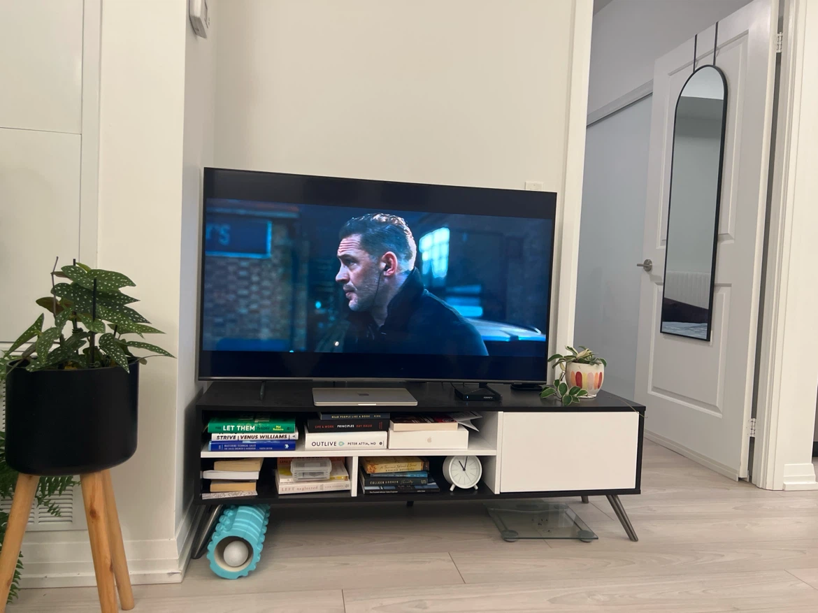 Black TV Stand