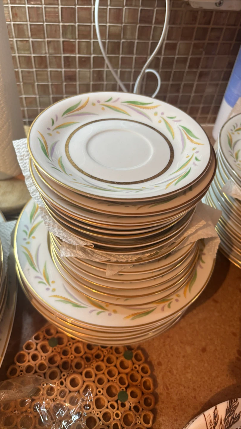 Set of 12 Gold Trimmed China Plates