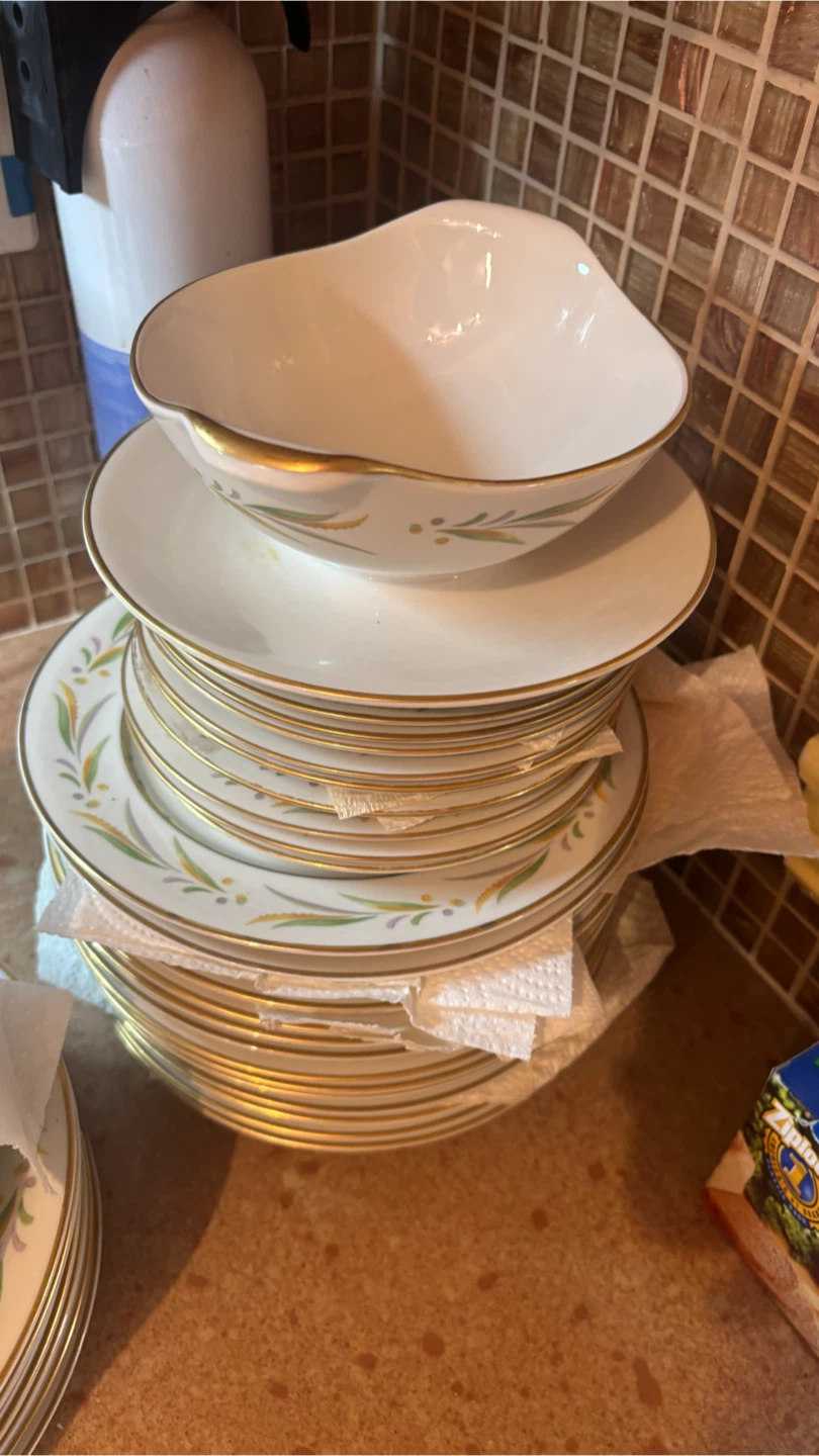 Set of 12 Gold Trimmed China Plates - photo 2
