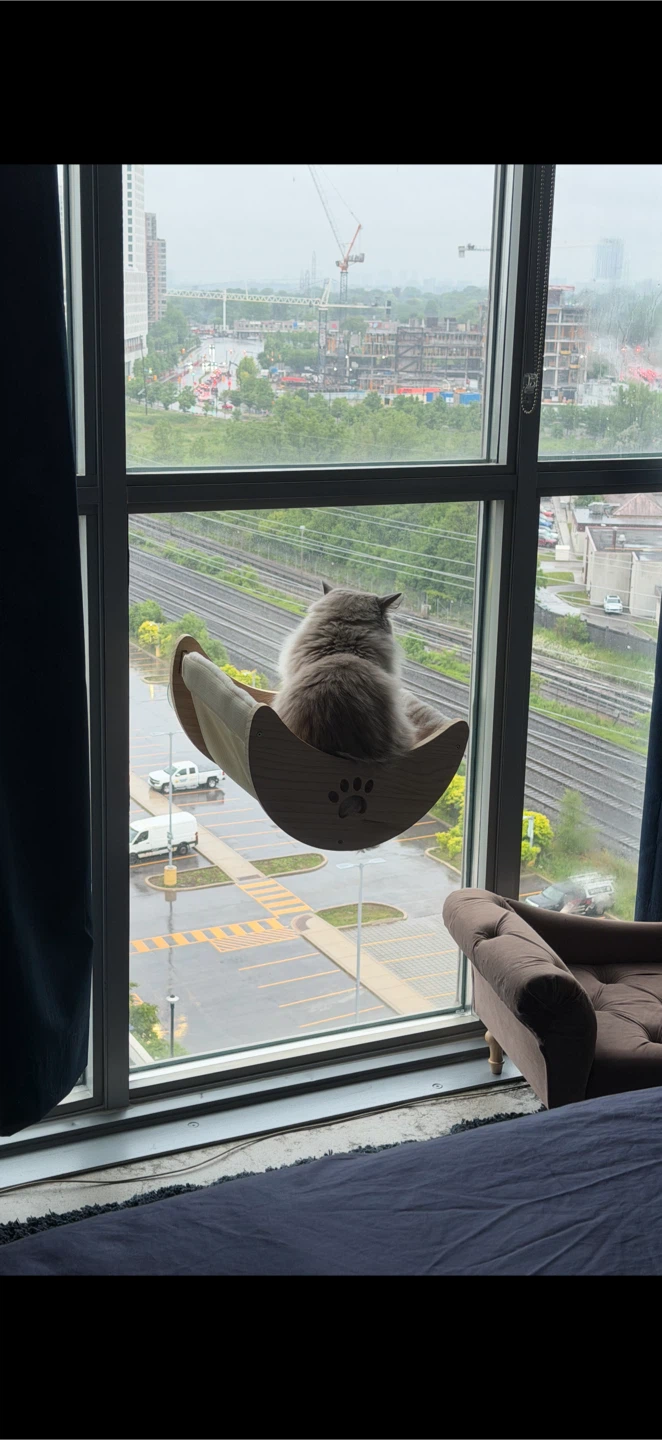 Cat window seat