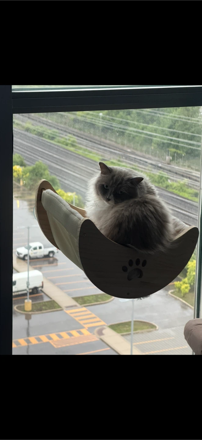 Cat window seat - photo 2