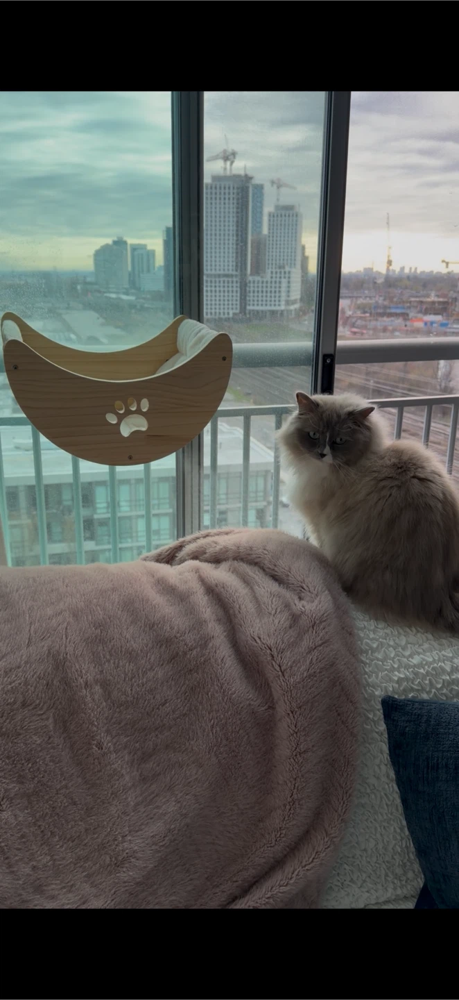 Cat window seat - photo 3