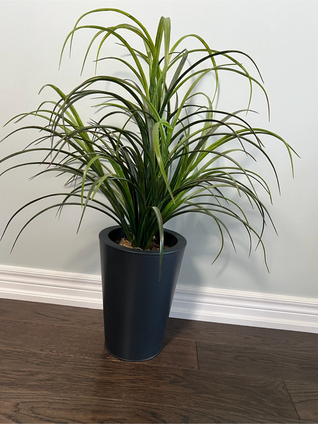 Artificial Grass Plant in Dark Grey Pot