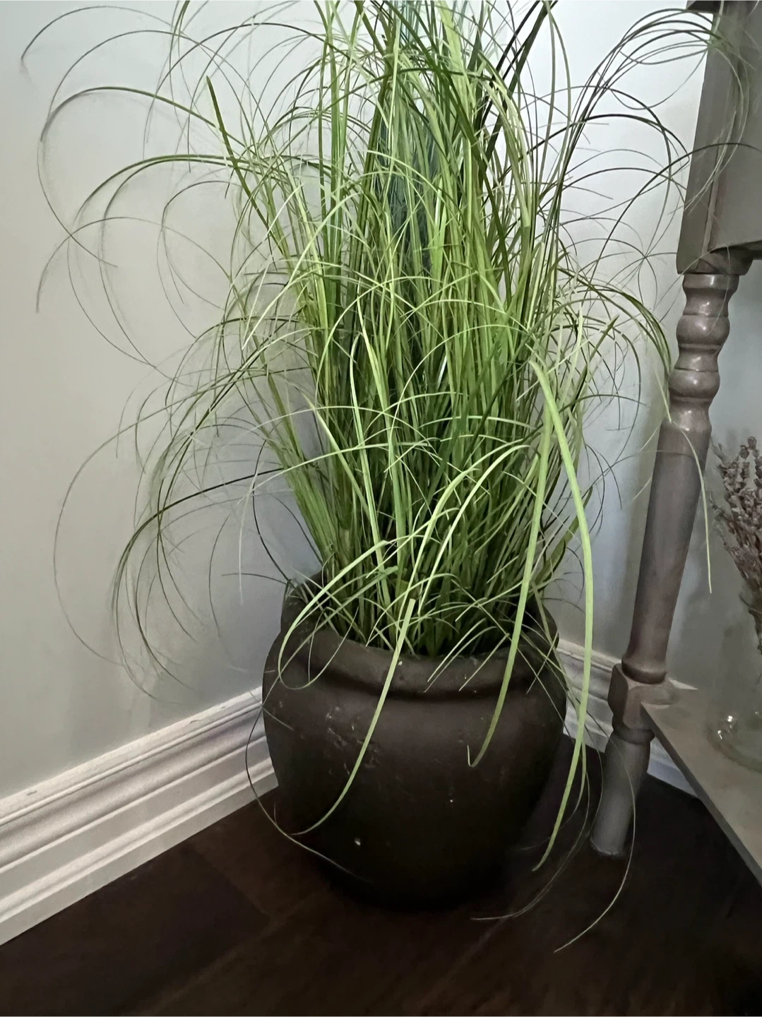 Large Potted Grass Plant - photo 2