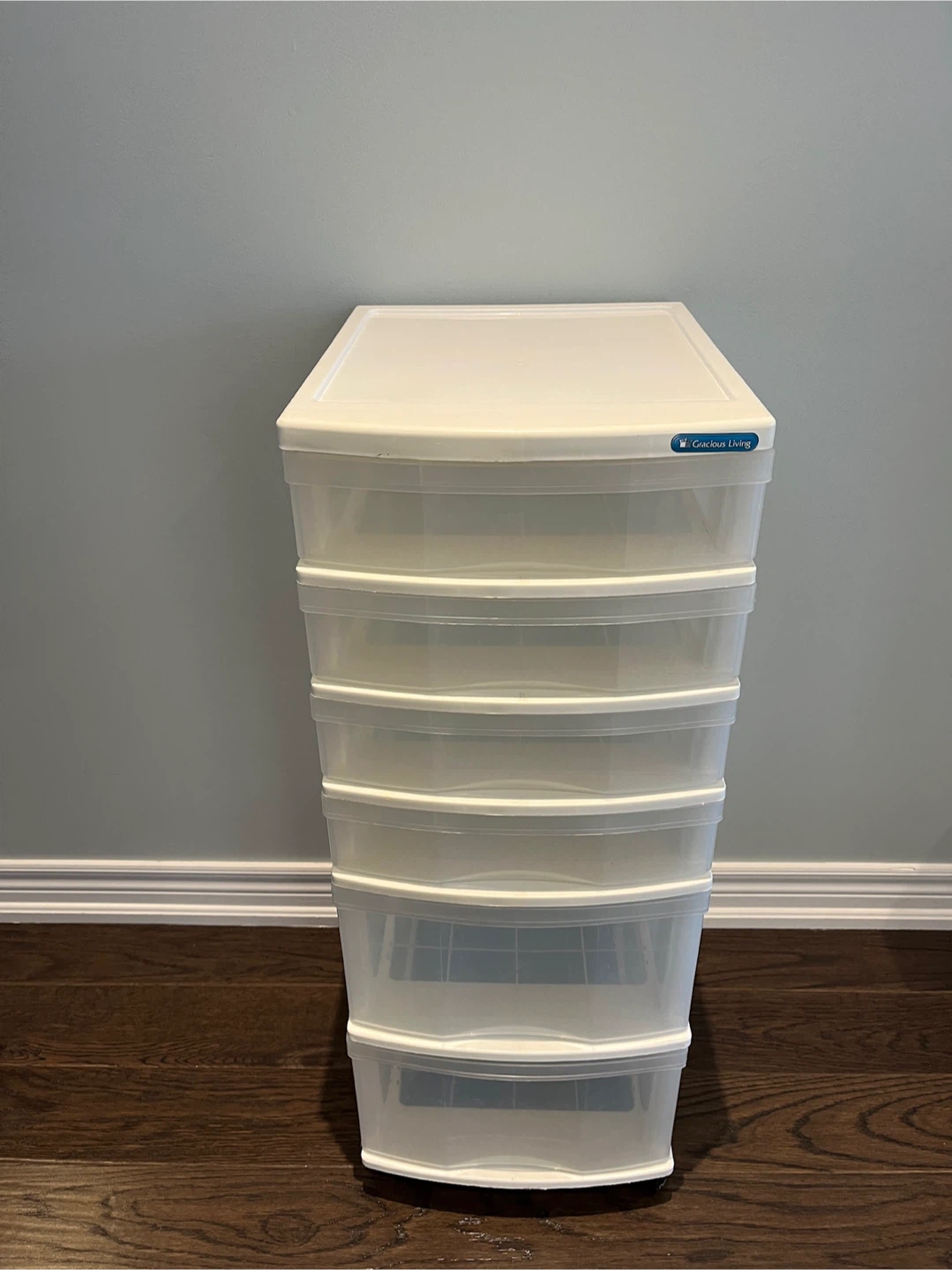 Gladys Living 5-Drawer Organizer Cart