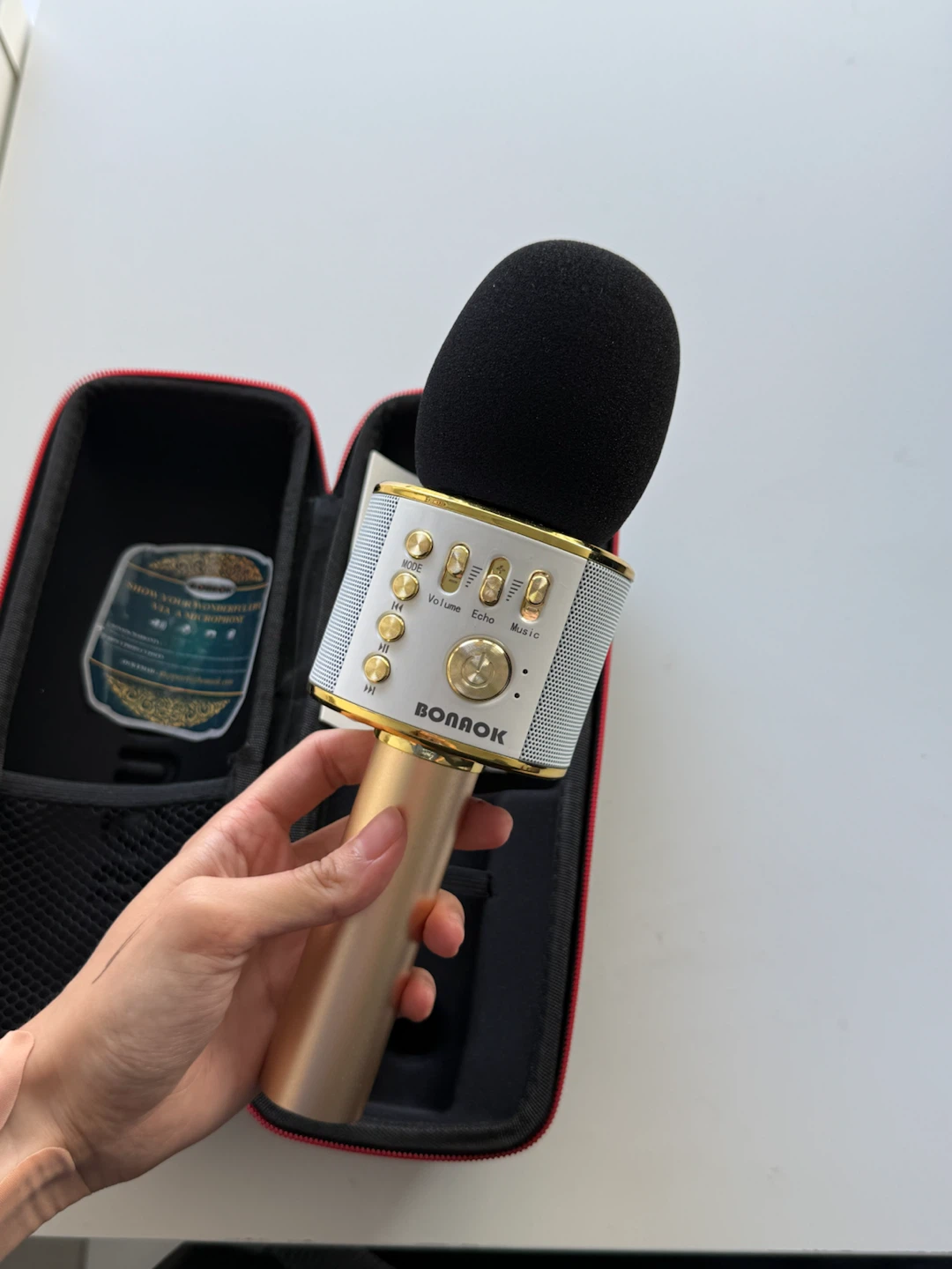 BONOK Portable Karaoke Microphone with Case