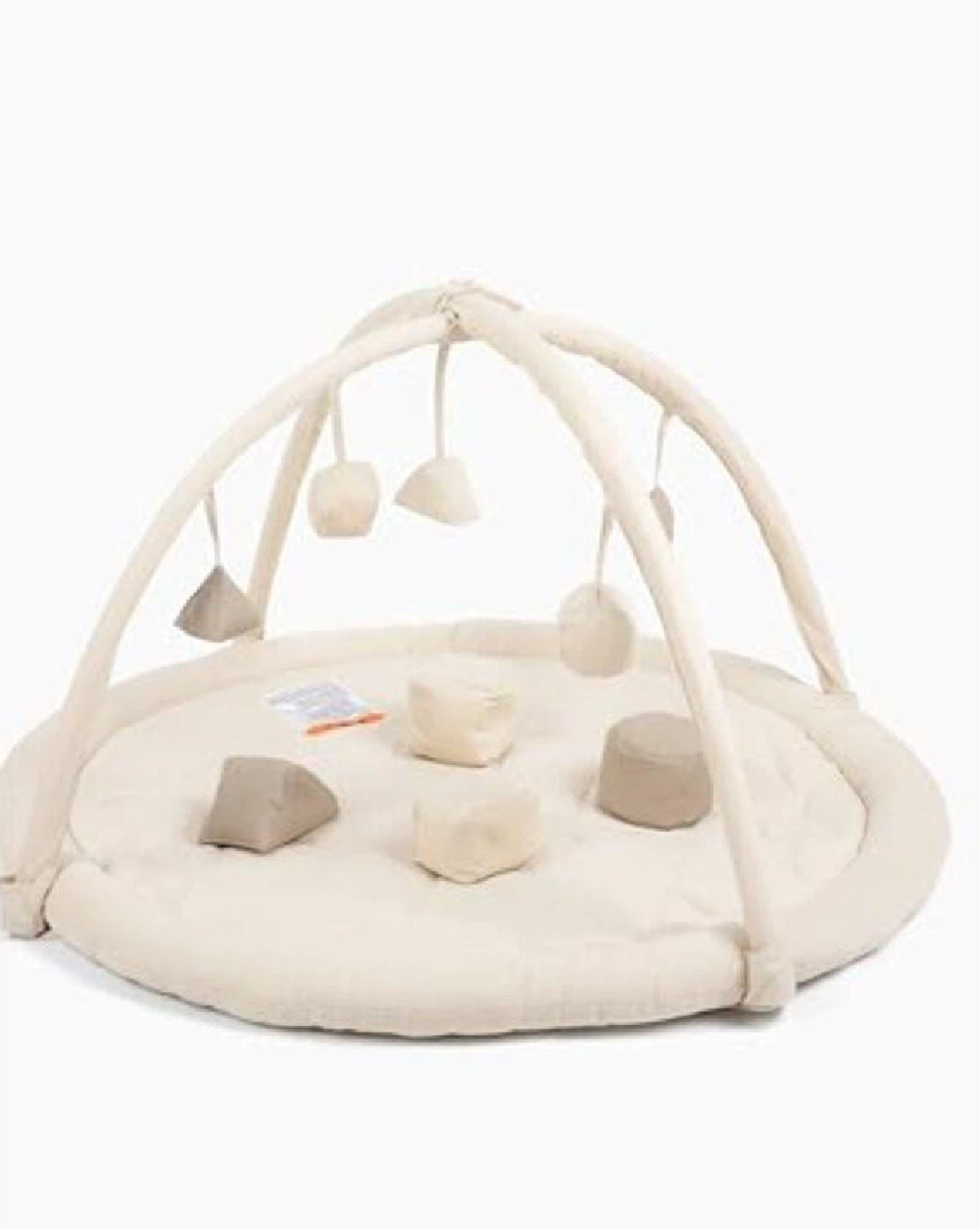 Baby Play Gym with Arch Toys