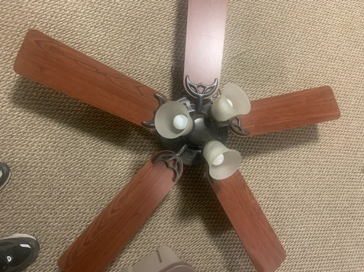 Ceiling Fan with Lights