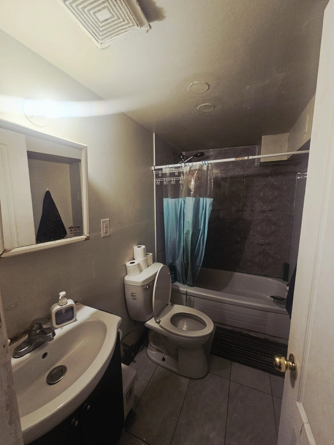 Etobicoke - Basement for rent - photo 4