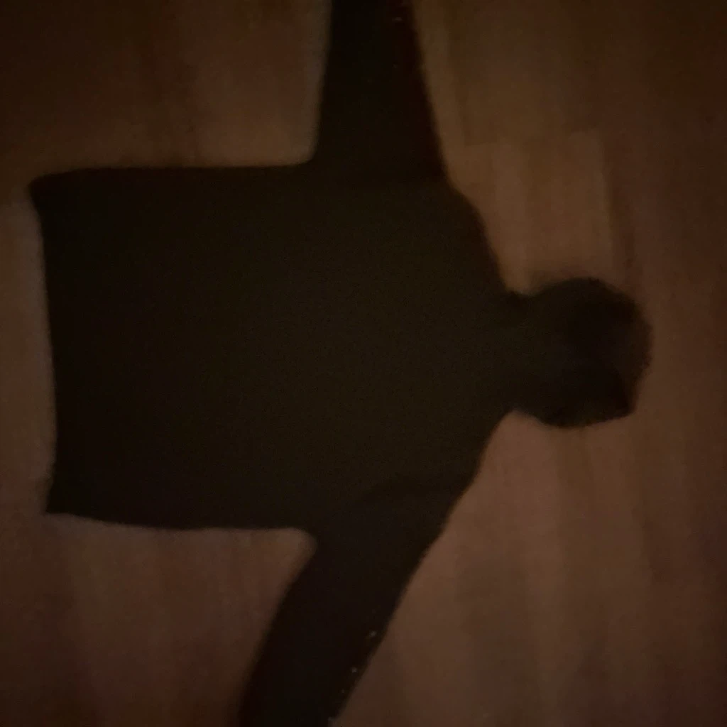 Sp5der Hoodie - photo 3