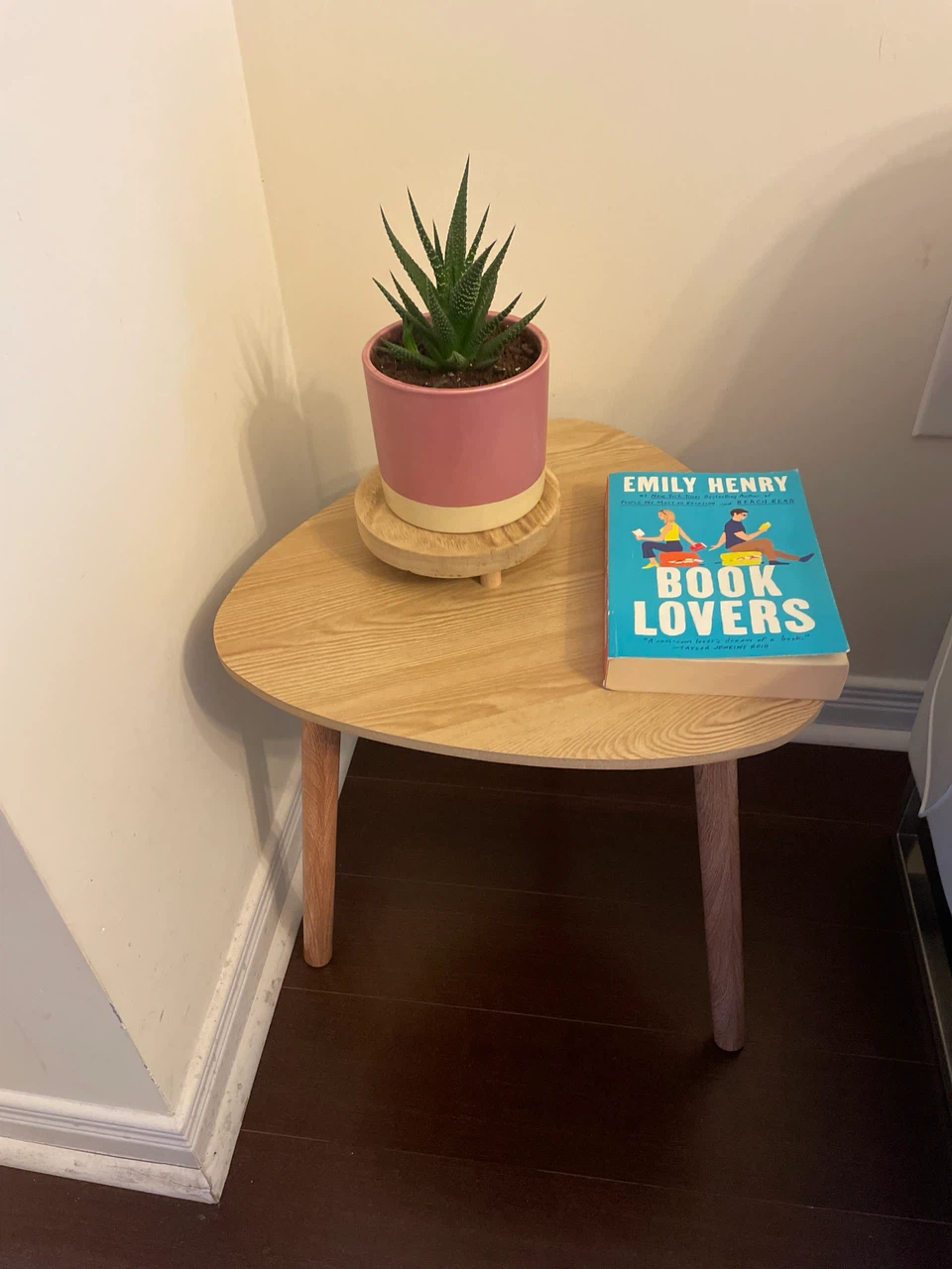 Home decor-Haworthia plant, book and stand included
