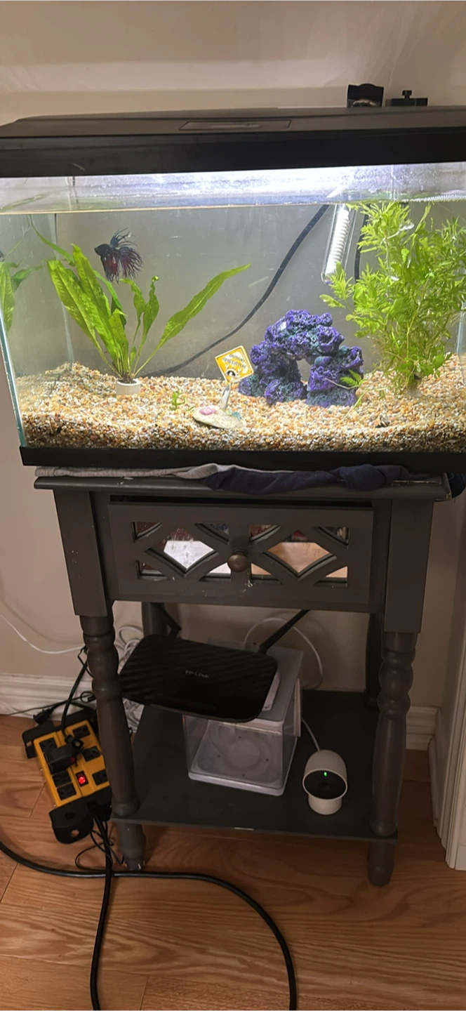 10-Gallon Aquarium Setup with Stand & LED Hood — $100 OBO