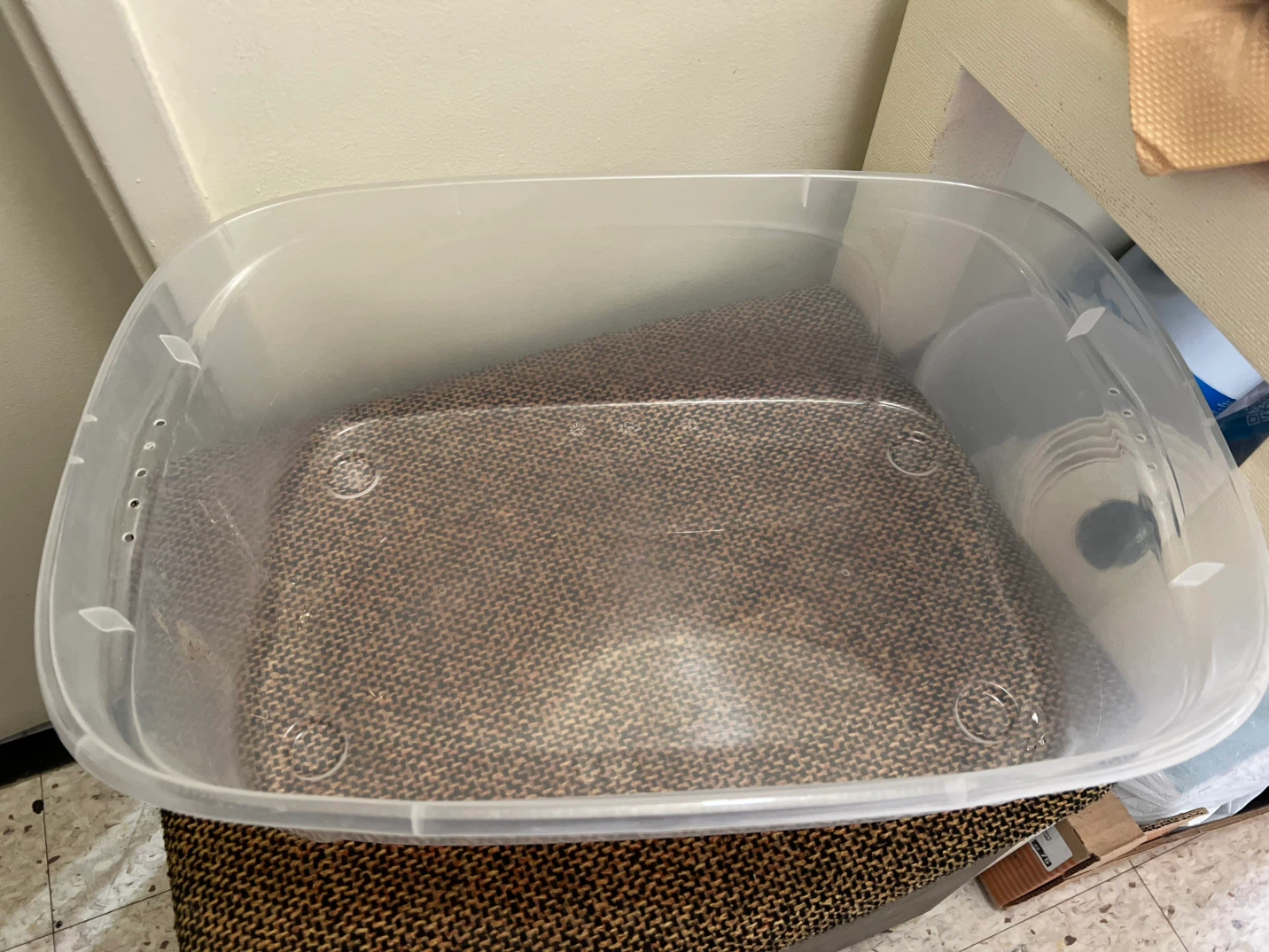 Clear Plastic Storage Bin