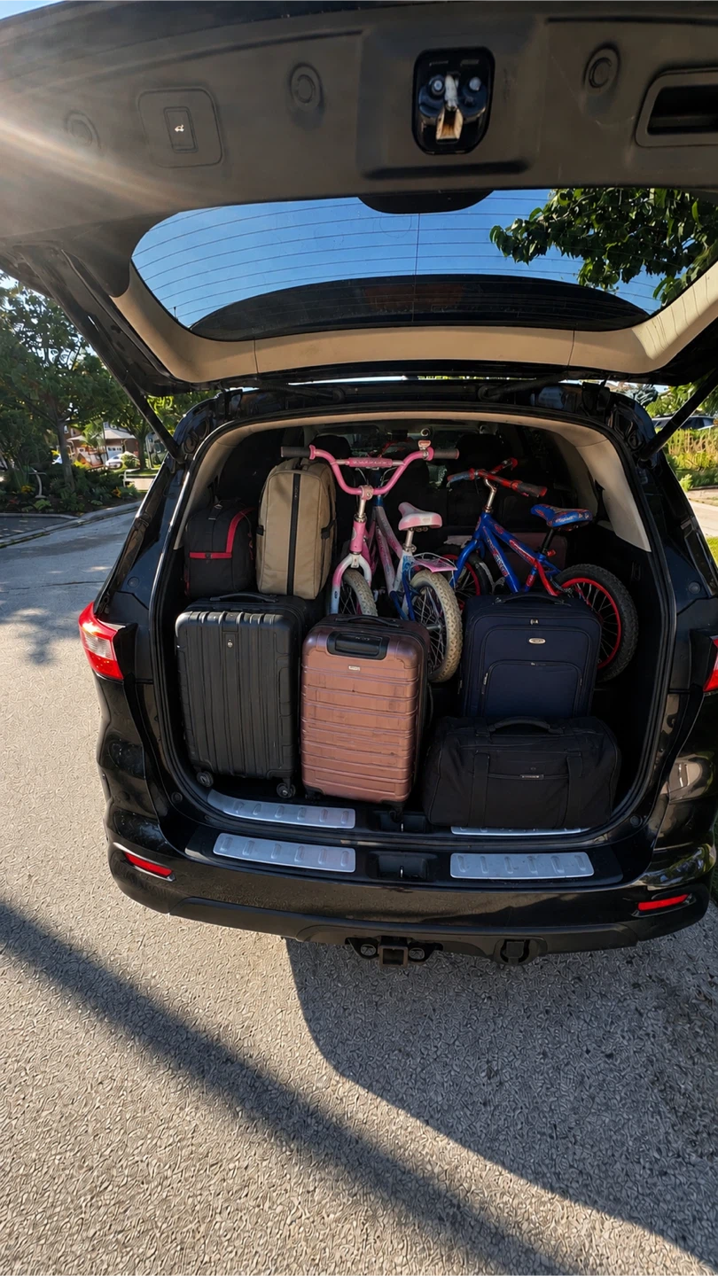 Move in a Jiffy (small and large moves) - photo 2