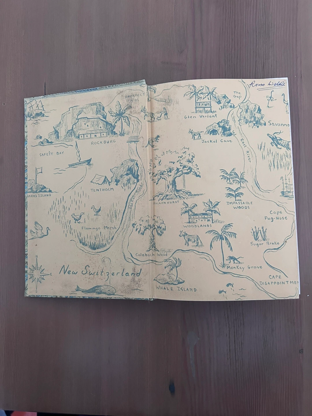 Vintage copy of The Swiss Family Robinson - photo 4