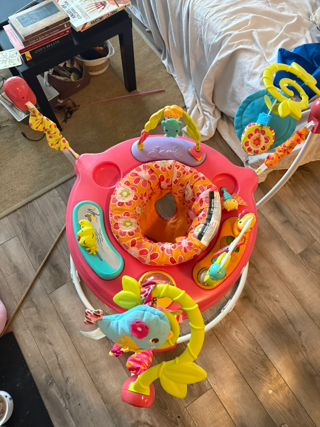 Fisher-Price Jumperoo - photo 2