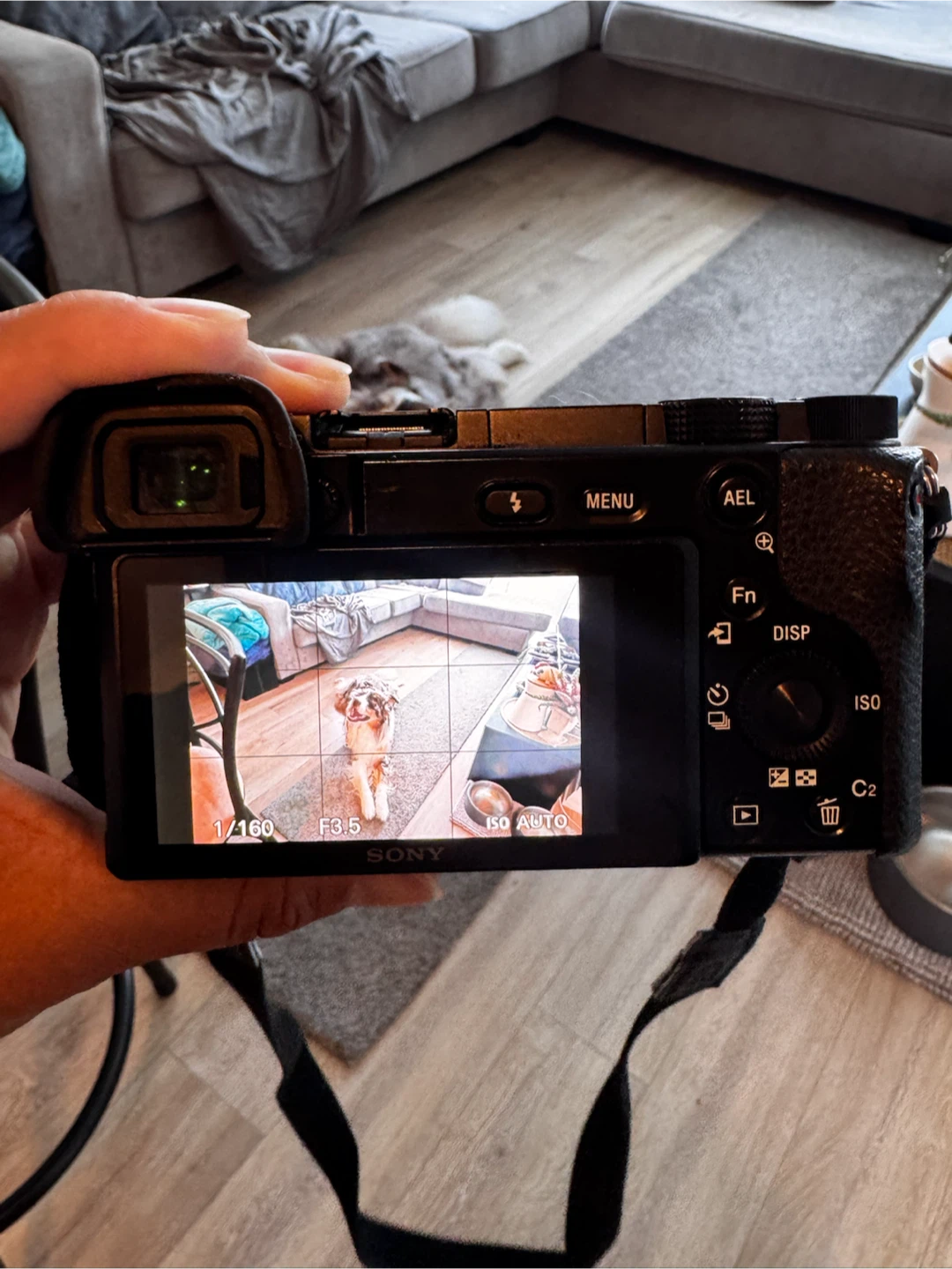 Sony Alpha a6100 Mirrorless Camera with 16-50mm Lens - photo 4