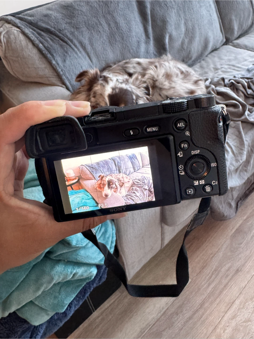 Sony Alpha a6100 Mirrorless Camera with 16-50mm Lens - photo 5