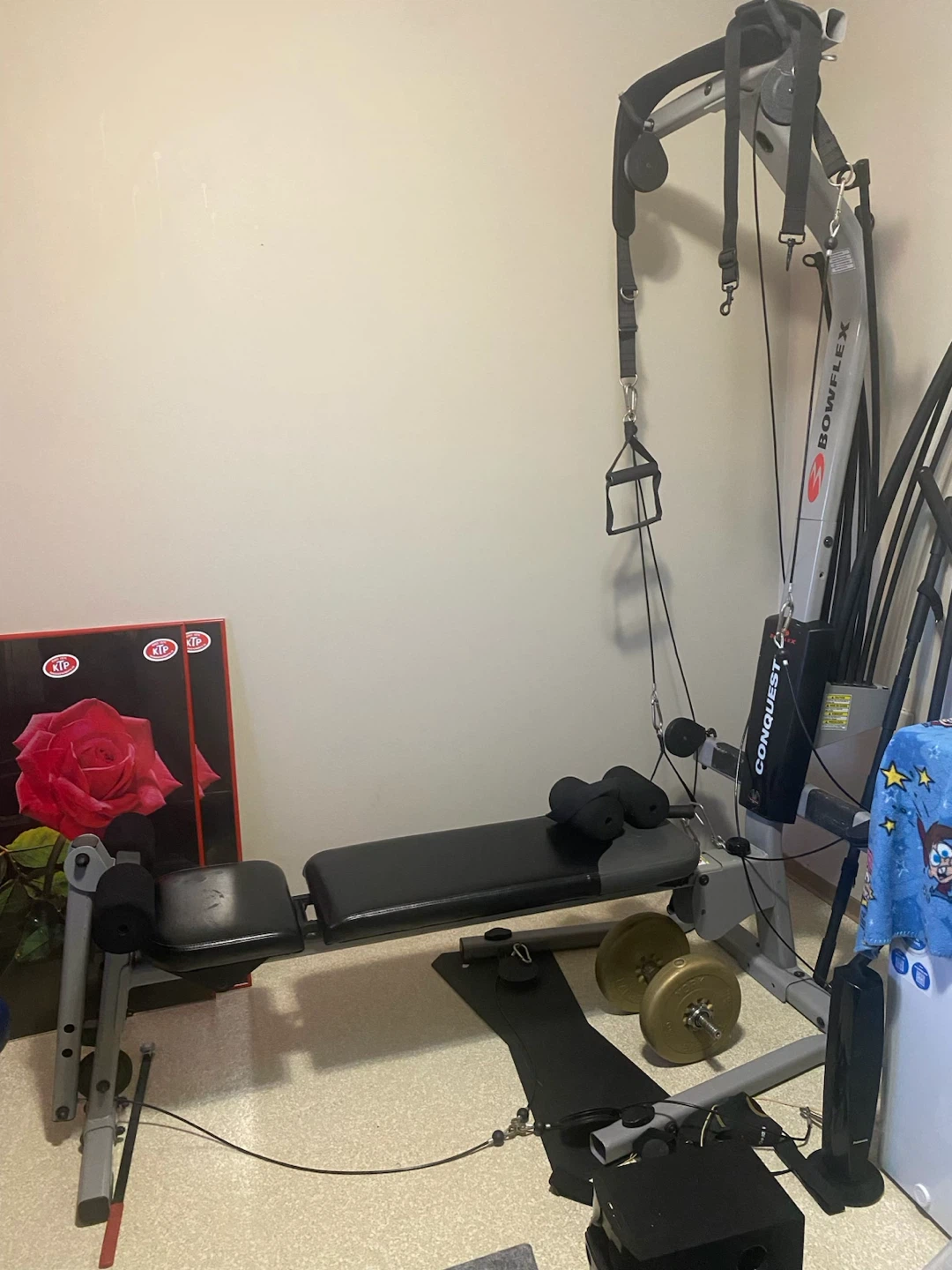 Bowflex Conquest Home Gym