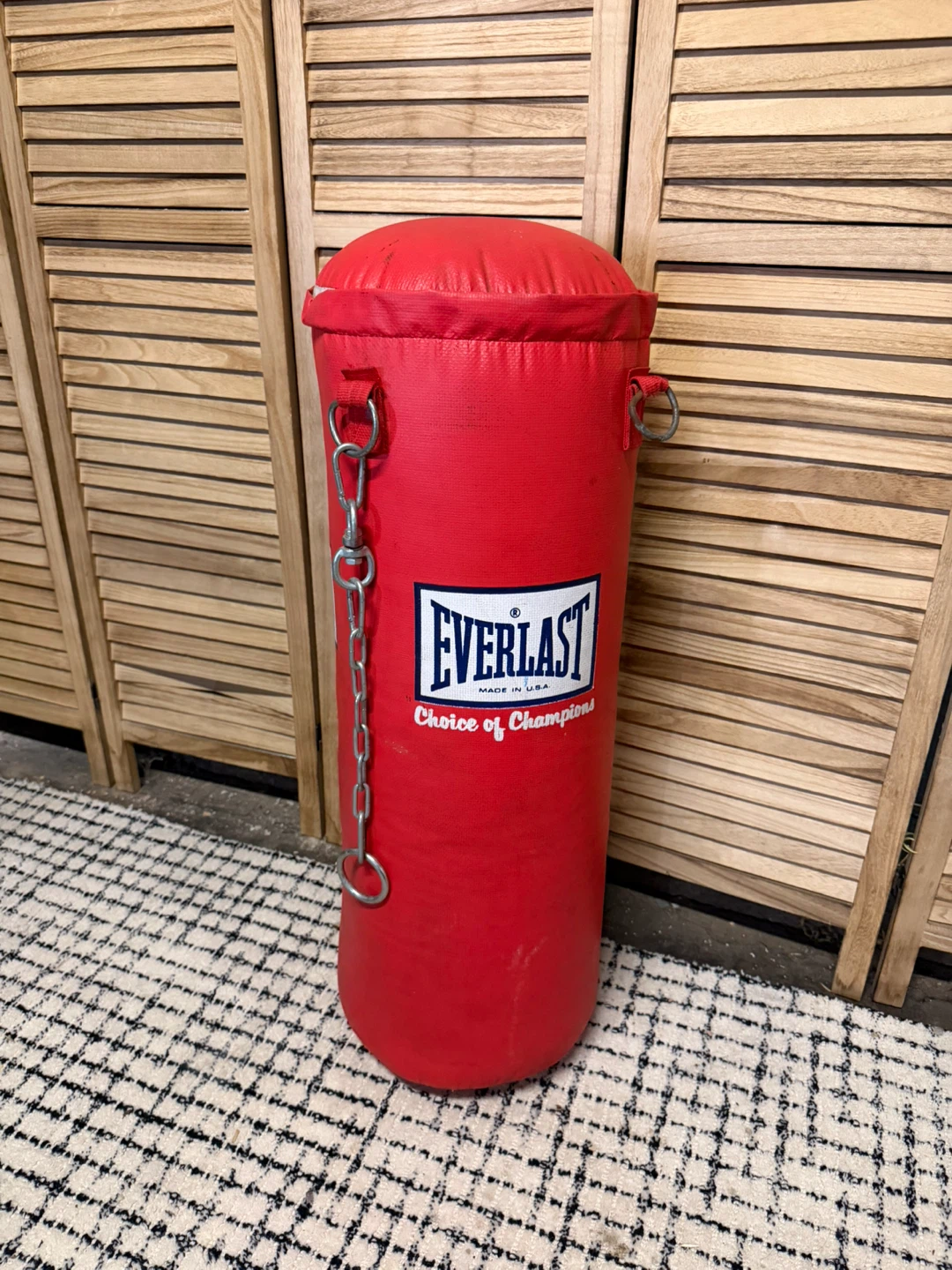 Everlast Punching Bag